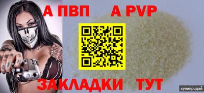 ешки Кингисепп