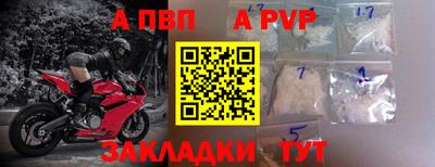 ешки Кингисепп