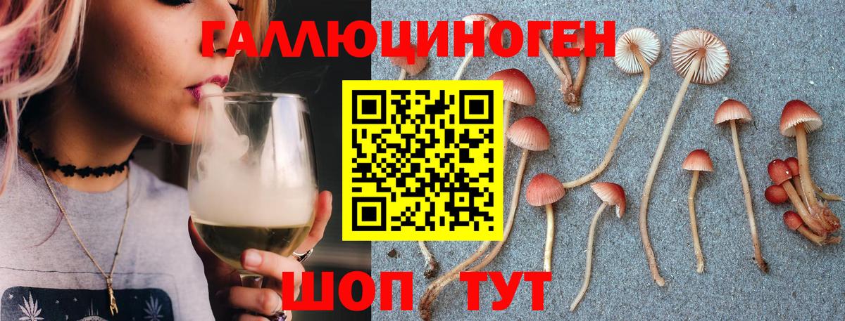 Псилоцибиновые грибы GOLDEN TEACHER Кызыл
